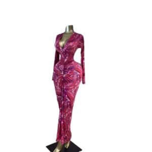 Graphic Print Long Sleeve Ruched V-Neck Stretch Maxi Dress