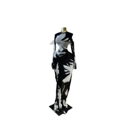 Printed Long Sleeve Ruched Mesh Lining Maxi Dress